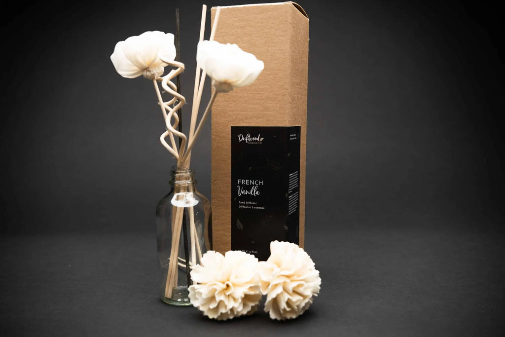 Sample Reed Diffuser Set by Driftwood Candle co labelled French Vanilla.  Sample jar with two sola flowers and reed sticks inside are next to sample box.  Two different sola flowers are lying down beside the sample jar and box.