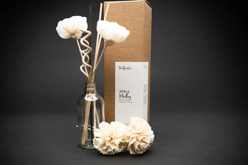 Sample scented sola flower reed diffuser set.  Image includes two sola flowers in a jar, curly reed sticks and straight sticks.  Box is labelled with Apple Medley.